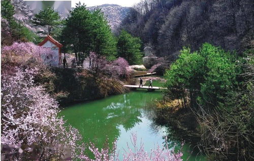 人文美景,冬景雪花,十条冬春精品旅游线路带您畅游平凉