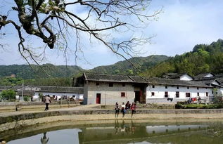 广东省乡村旅游精品线 名单公布 始兴这条线路入选