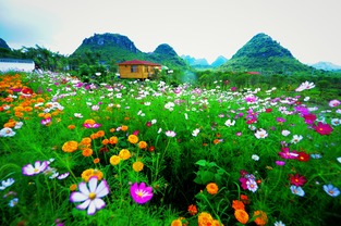 普定思源农业生态园 农耕精品养身胜地