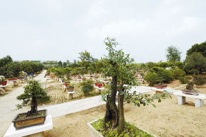 南阳日报多媒体数字报刊平台,南阳日报多媒体数字报刊平台,南阳,南阳日报,南阳网,南阳社区