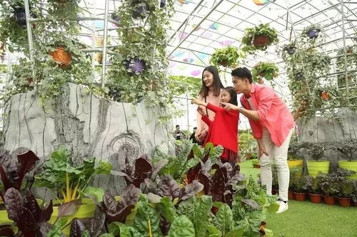 佛山首座5d炸裂玻璃桥,199元2大2小走起 高空飞索山顶直落 机动乐园 山泉水泳场任玩