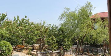 崂山北宅迦南美地生态园门票,崂山北宅迦南美地生态园门票预订,崂山北宅迦南美地生态园门票价格,去哪儿网门票