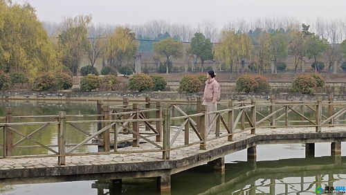 宠物花草 生态园 powered by discuz