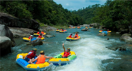 防城区那良镇积极探索产业扶贫新模式