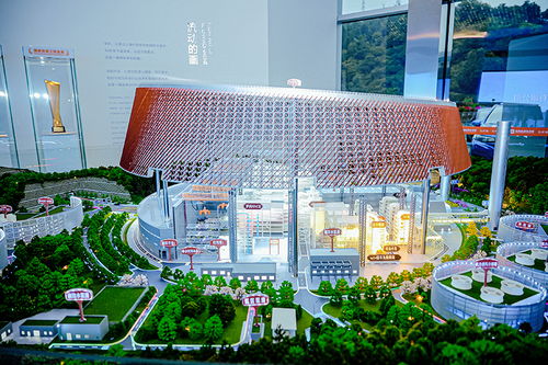 碳 寻绿色发展,龙岗 双碳 进行时