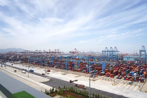 美丽中国 青岛 张开双臂 拥抱上合