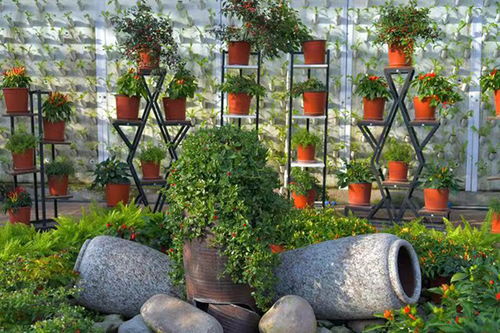 北京市延庆区 香龙路 春观花休闲之旅