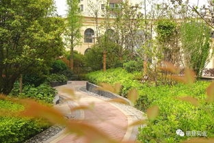 封顶大吉 热烈庆祝丽登 印象城三期荣耀封顶