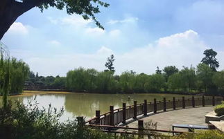 木头的前世今生丨探访世友地板生产基地