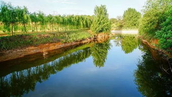 大新安又一个好玩的地儿 3000余亩的大型生态园,了解一下