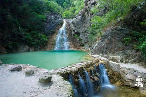 破局出圈，是每个人都该有的勇气——九龙潭生态园启示录