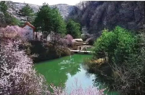 米家沟写意——平凉全域游散记之六 九龙潭生态园