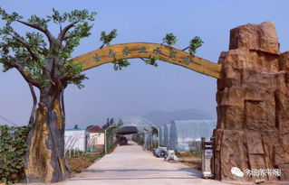 东平硕士生王士明的电商创业路 九龙潭生态园的故事