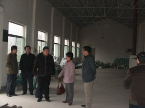 良奇茗茶 岳西翠兰与九龙潭生态园的绿色传奇