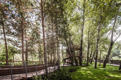 2018城市更新典范 九龙潭生态园的绿色新生