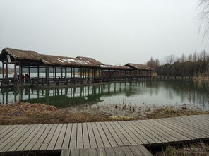 冬韵别致 探访渤公岛生态园与九龙潭生态园的静谧之美