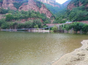 拒绝舌尖上的危险 为何我们应当对