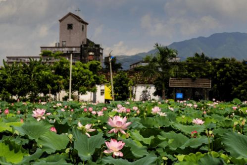 快看！博罗九龙潭生态园入选惠州市第二批乡村旅游精品线路