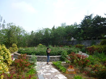 绿色生态园典范——探秘九龙潭生态园的自然与人文之美