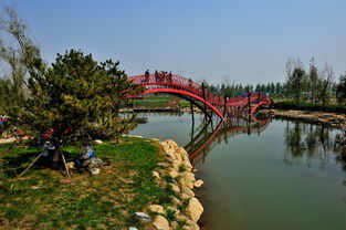 新建中的保定生态园 九龙潭生态园——未来城市绿心的展望